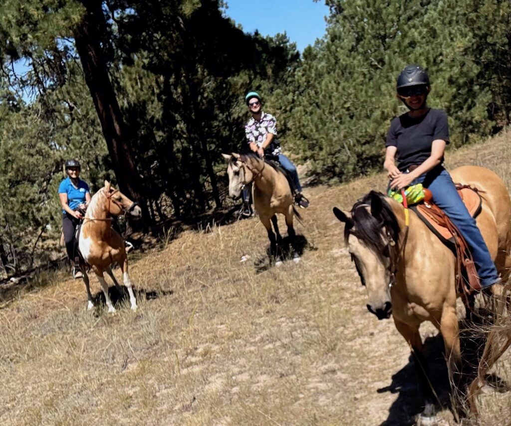 Group trail ride through Colorado forest