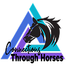 Connections Through Horses