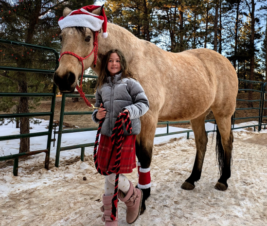 Horse and rider connection