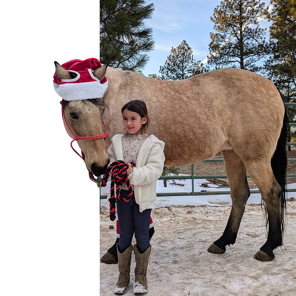 Child with horse in holiday attire
