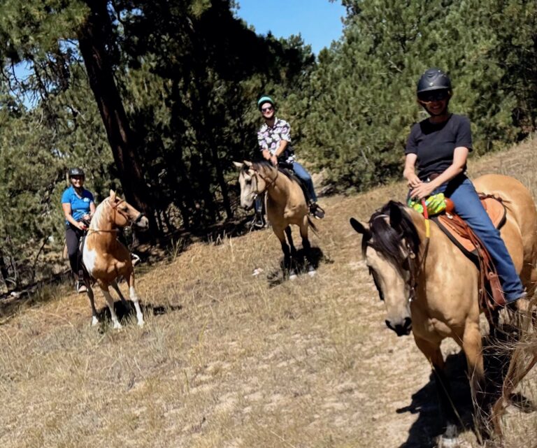 Group trail ride