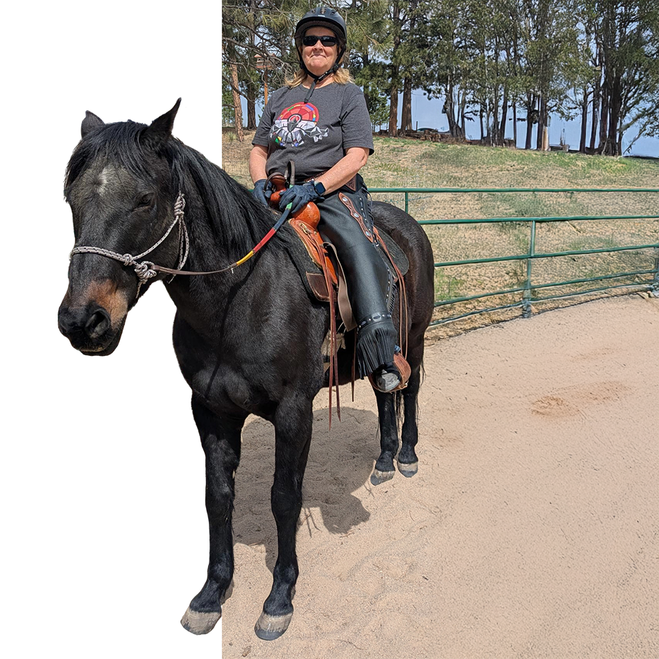 Adult male rider on black horse