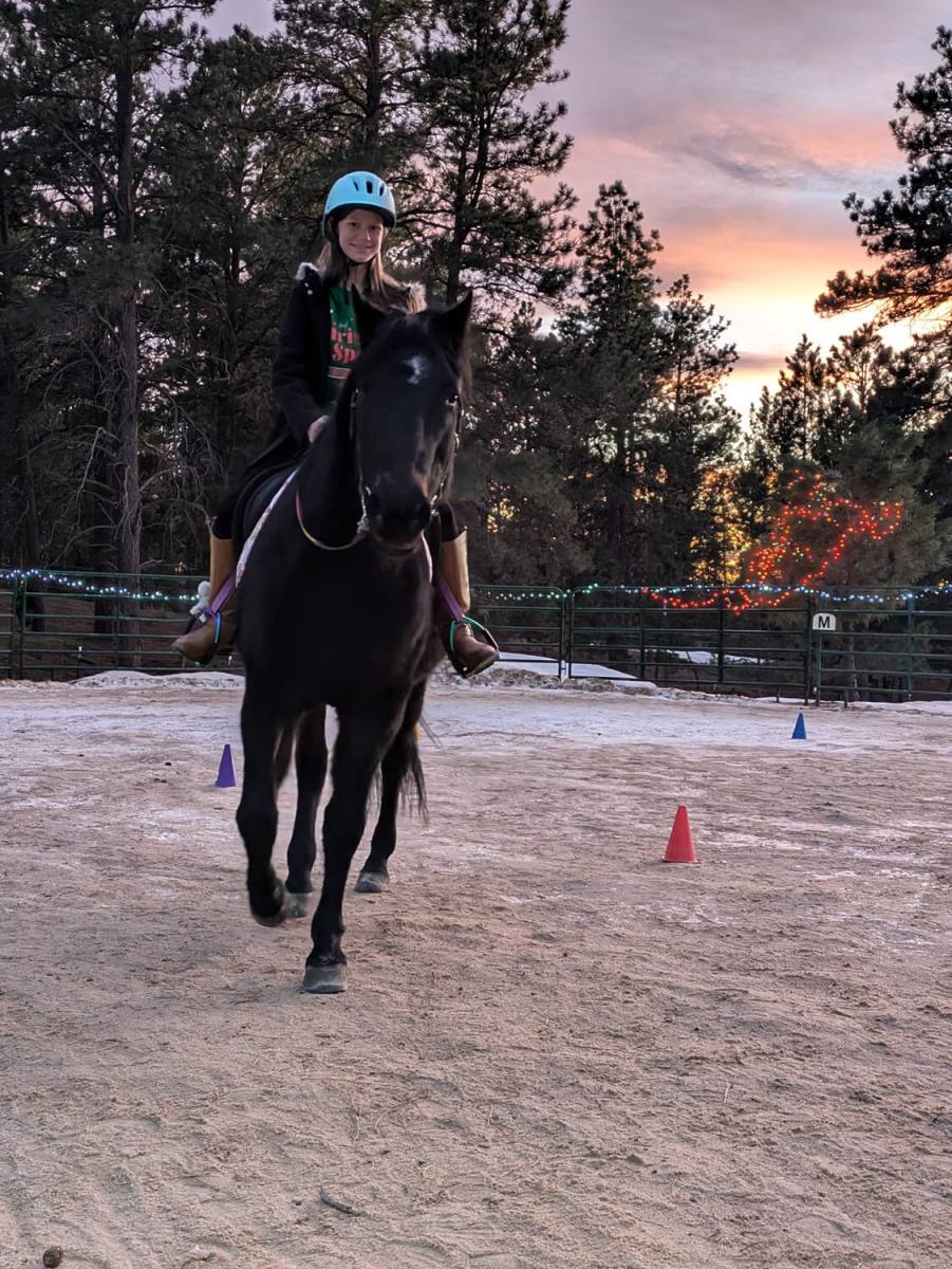 Instructor Training Clinic
