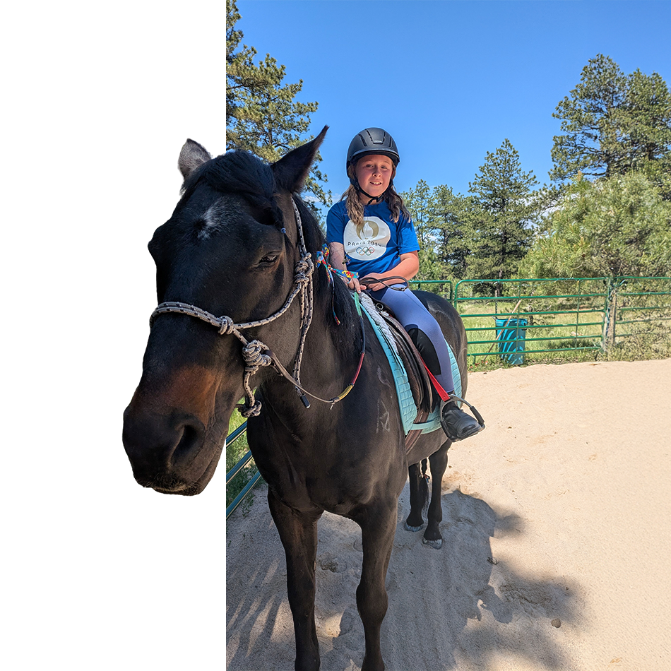 Young rider on black horse in arena