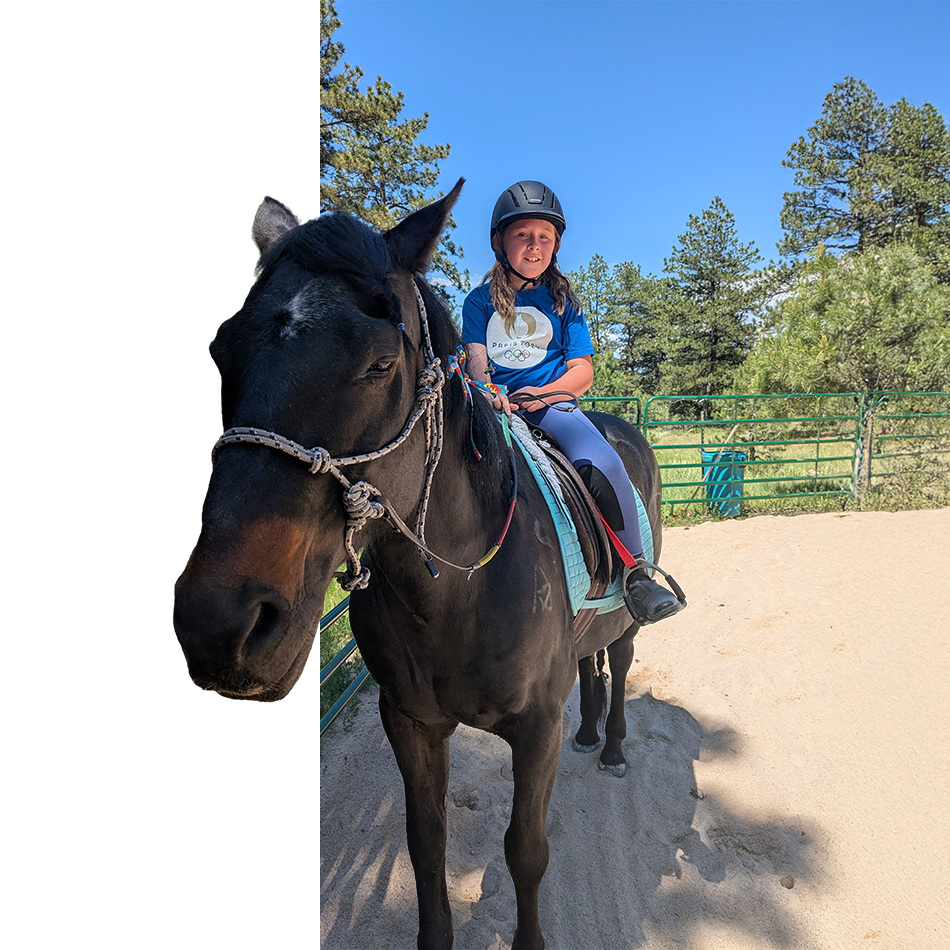 Horseback riding