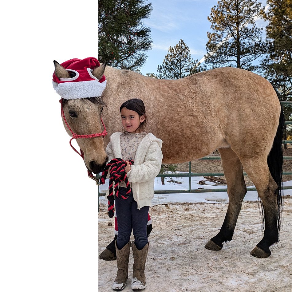 Horseback riding